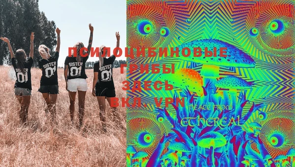 индика Балахна