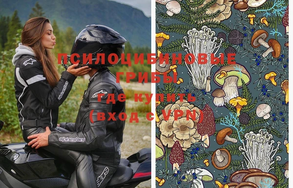 тгк Няндома