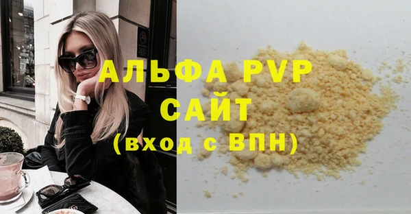 индика Балахна