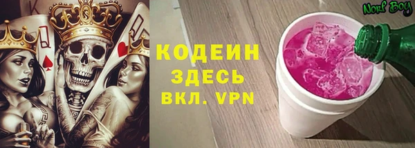 индика Балахна