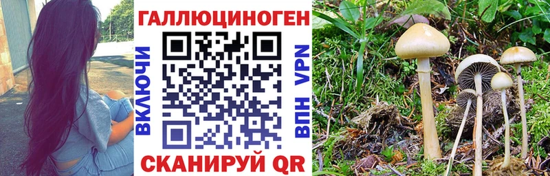 Псилоцибиновые грибы MAGIC MUSHROOMS  мориарти телеграм  Губкинский 